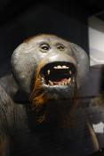 manchester museum 9-2023 8845